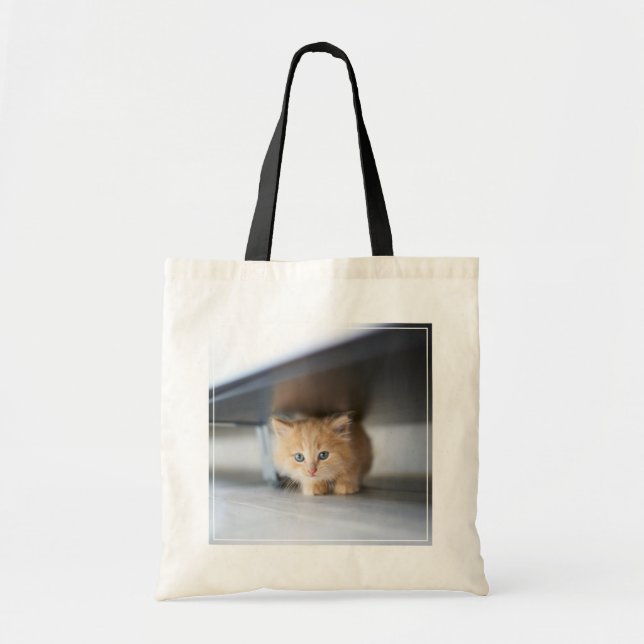 Tote Bag Animaux de bébés cutest | Fluffy Orange Kitten (Devant)