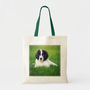 Tote Bag Animaux de bébés cutest   Newfoundland Puppy