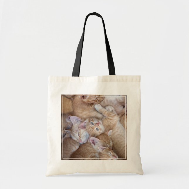 Tote Bag Animaux de bébés cutest | Orange Kitten Pile (Devant)
