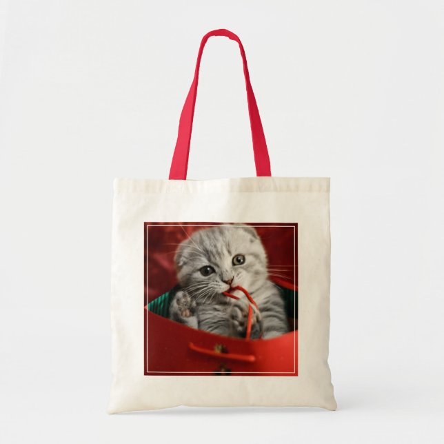 Tote Bag Animaux de bébés cutest | Scottish Fold Kitten (Devant)