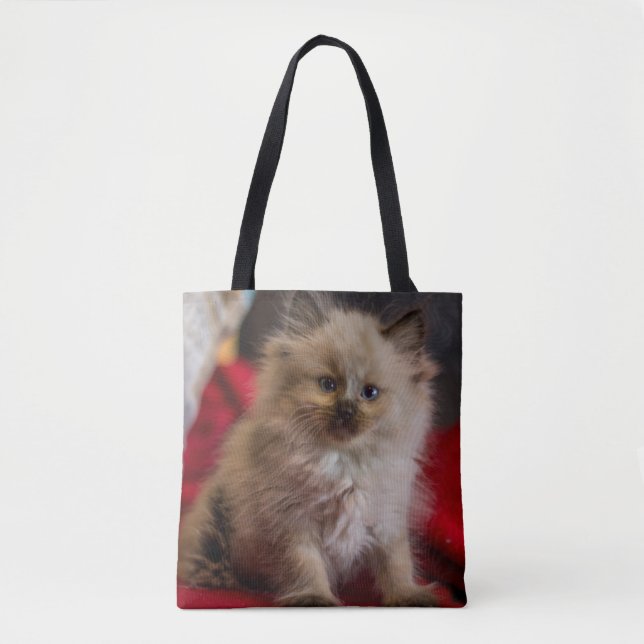 Tote Bag Animaux de bébés cutest | Siamese Kitten (Devant)