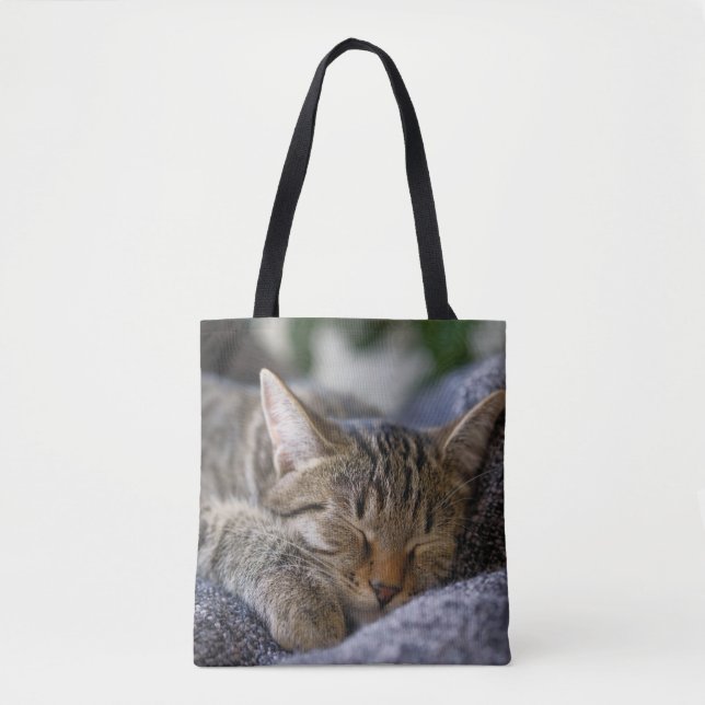 Tote Bag Animaux de bébés cutest | Tabby Kitten Sommeil (Devant)