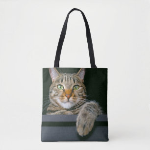 Tote Bag Animaux de bébés cutest Tête de chat gris Tabby