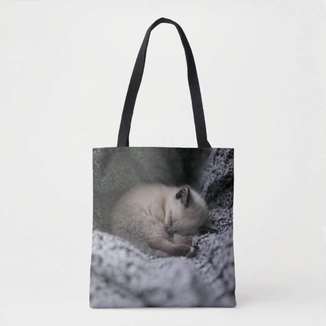 Tote Bag Animaux de bébés cutest | Tiny Kitten Dormir (Devant)