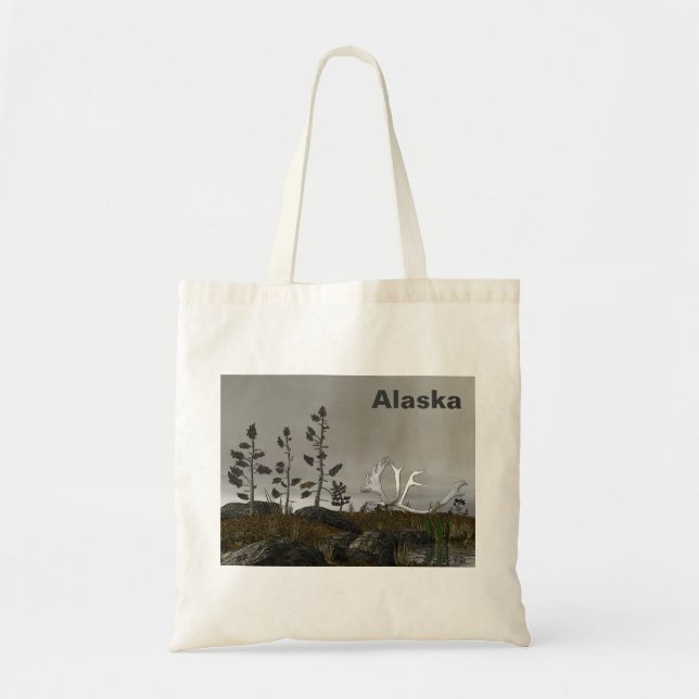Tote Bag Antalyseurs de bord nord (Devant)