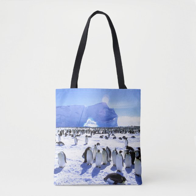 Tote Bag Antarctique, péninsule Antarctique, mer de Weddell (Devant)