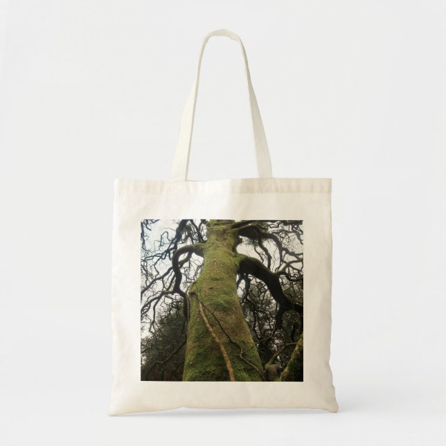 Tote Bag Arbre (Devant)
