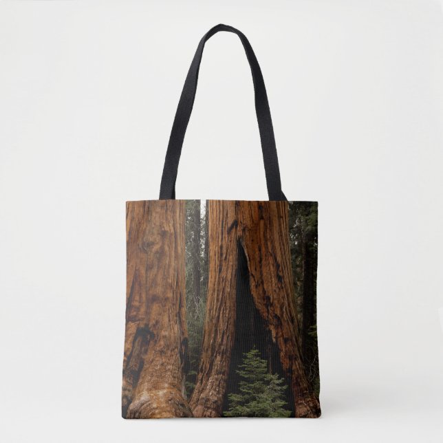 Tote Bag Arbres de séquoia, Parc national de Sequoia (Devant)