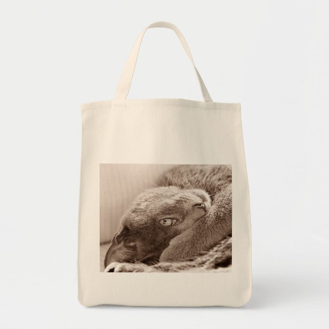 Tote Bag Argentez l'épicerie Fourre-tout de chat (Devant)