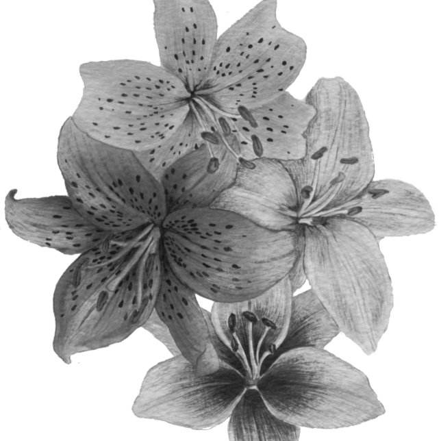 Tote Bag art contemporain floral noir et blanc (Créateur téléchargé)