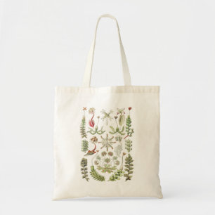 Tote Bag Art de la nature scientifique Ernst Haeckel Hépati