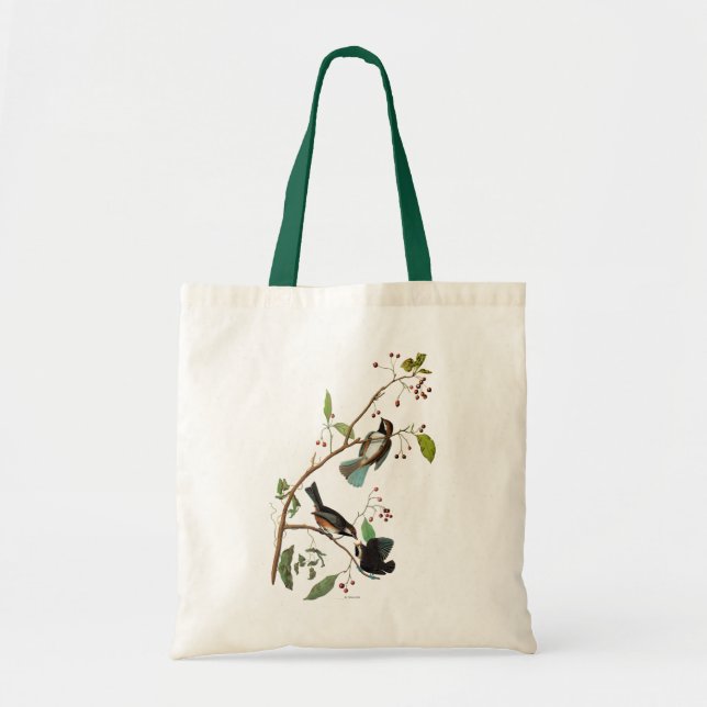 Tote Bag Audubon : Chickadee (Devant)