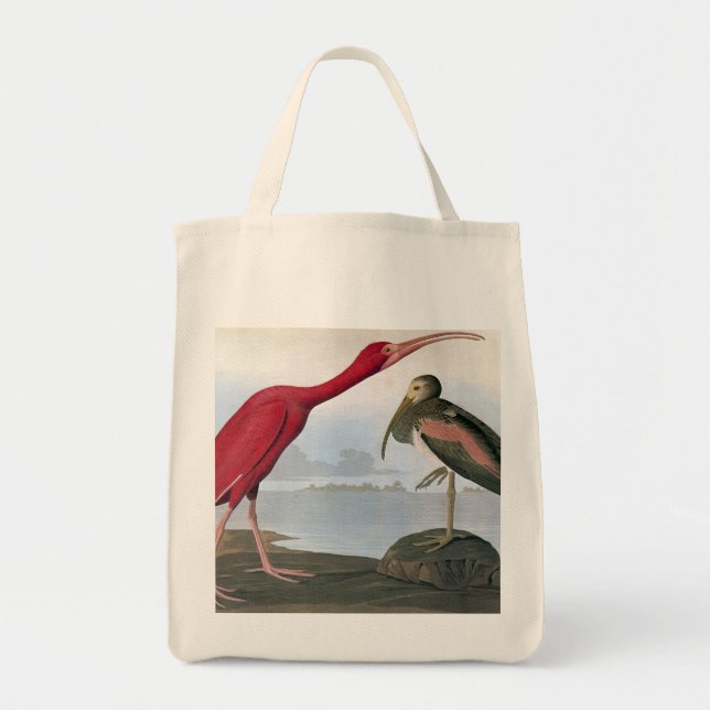 Tote Bag Audubon : Écarlate IBIS (Devant)