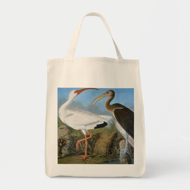 Tote Bag Audubon : Ibis blanc (Devant)