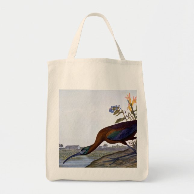 Tote Bag Audubon : IBIS brillant (Devant)