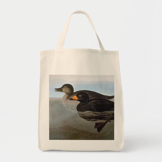 Tote Bag Audubon : Macreuse noire (Devant)
