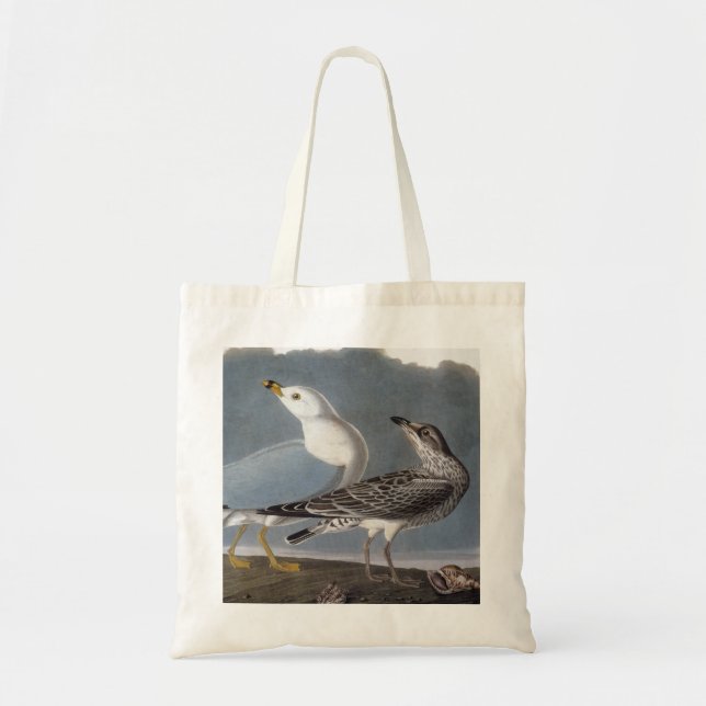 Tote Bag Audubon : Mouette Anneau-Affichée (Devant)