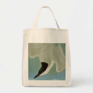 Tote Bag Audubon : Sterne Mouette-Affichée