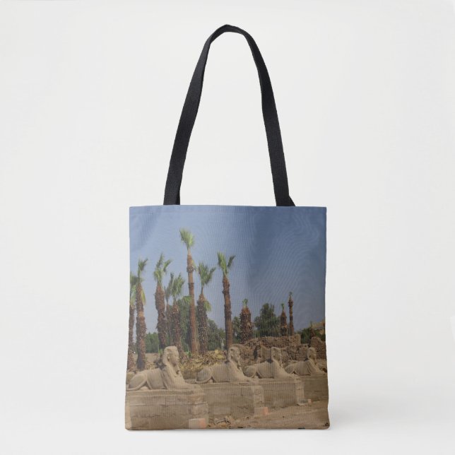 Tote Bag Avenue des Sphinx (Devant)