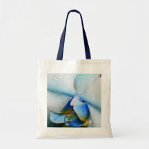 Baisses sur l'orchidée bleue