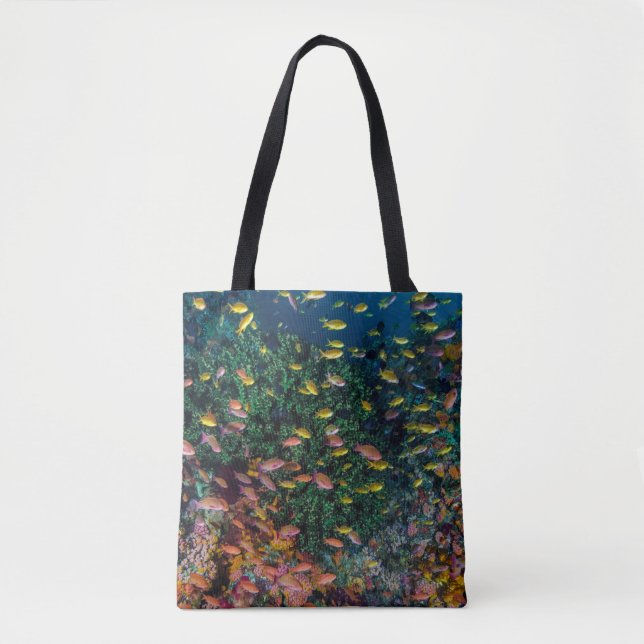 Tote Bag Bancs de poissons nagent dans le récif (Devant)