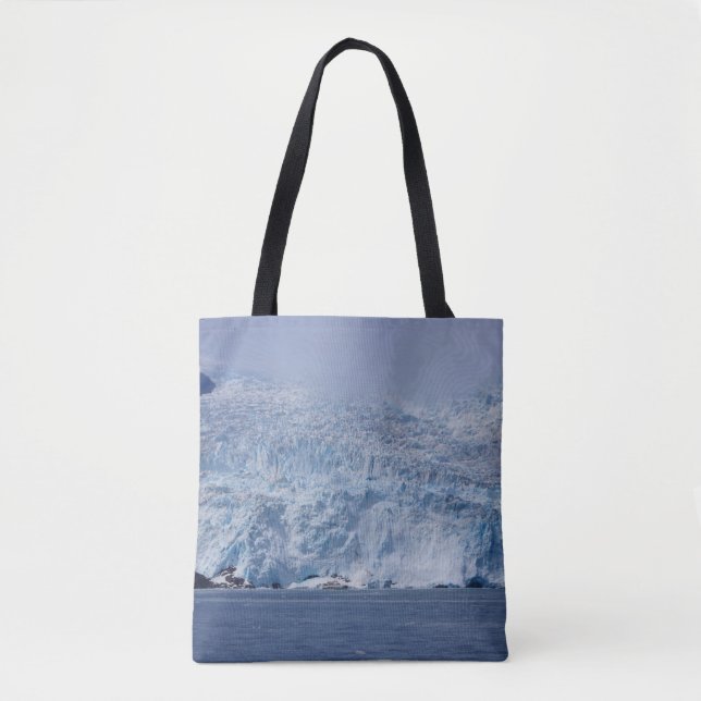 Tote Bag Beauté congelée (Devant)