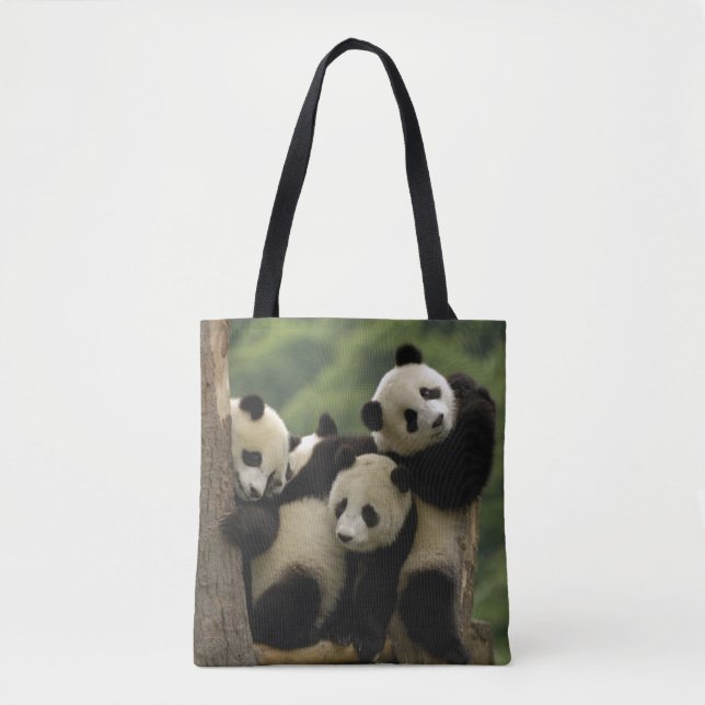 Tote Bag Bébés de panda géant Ailuropoda melanoleuca) (Devant)