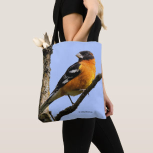 Tote Bag Belle grêle à tête noire dans un arbre