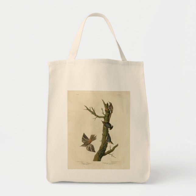 Tote Bag Brown Creeper, Pygmy Nuthatch des oiseaux d'Audubo (Devant)