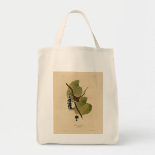 Tote Bag Bruant à couronne blanche - Audubon's Birds of Ame