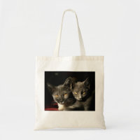 Budget photo des chats gris Fourre-tout