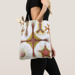 Tote Bag Camomille sauvage par Ernst Haeckel, Nature Vintag
