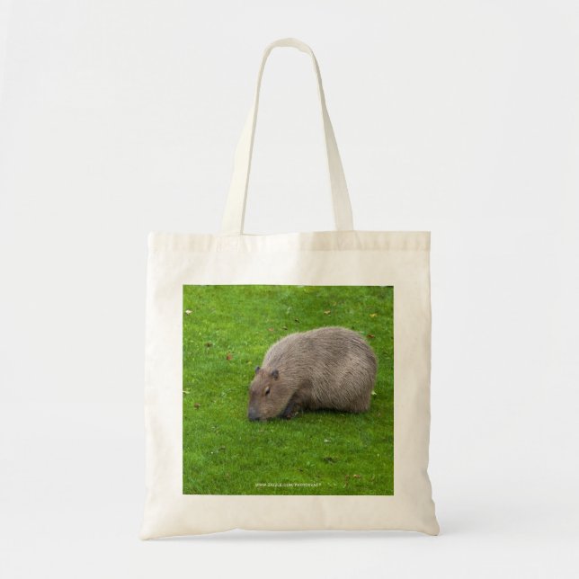 Tote Bag Capybara Animal Incroyable (Devant)