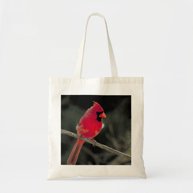 Tote Bag Cardinal rouge perché sur une branche d'arbre (Devant)