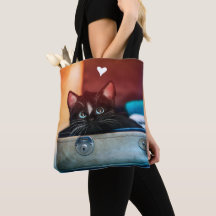 Chat mignon dans la valise avec le coeur -