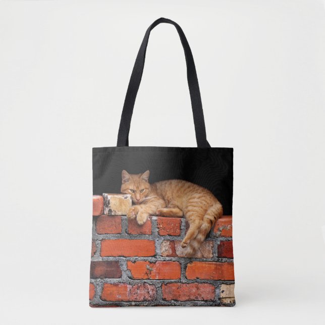 Tote Bag Chat sur mur de brique (Devant)