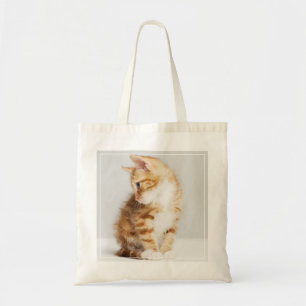 Tote Bag Chaton de gingembre