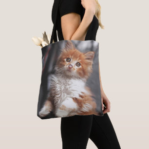 Tote Bag Chaton tigré orange