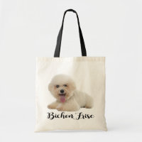 Chien chiot blanc de la levure de Bichon Amour noi