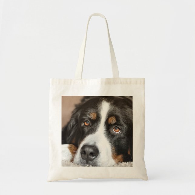 Tote Bag chien de montagne bernois couché (Devant)