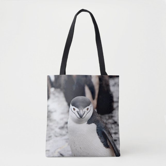TOTE BAG CHINSTRAP PENGUIN (Devant)