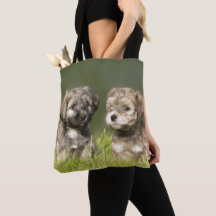 Tote Bag Chiots de Havanese