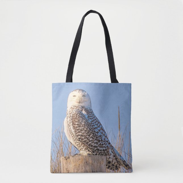 Tote Bag Chouette à neige - fourre-tout (Devant)