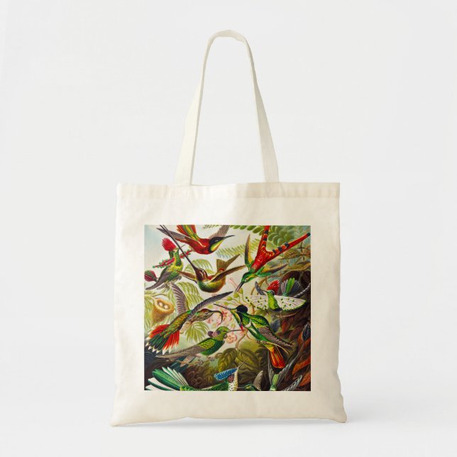 Tote Bag Colibri vintage par Ernst Haeckel (Devant)
