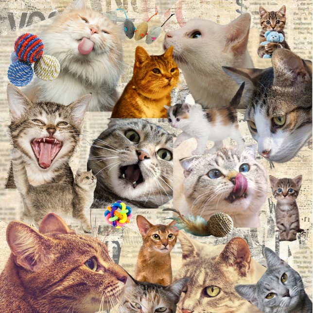 Tote Bag Collage de chats et de jouets (Cat Collage Tote )