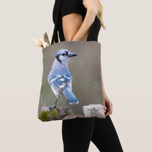 Tote Bag Cute Bleu Jay Songbird sur Treestump