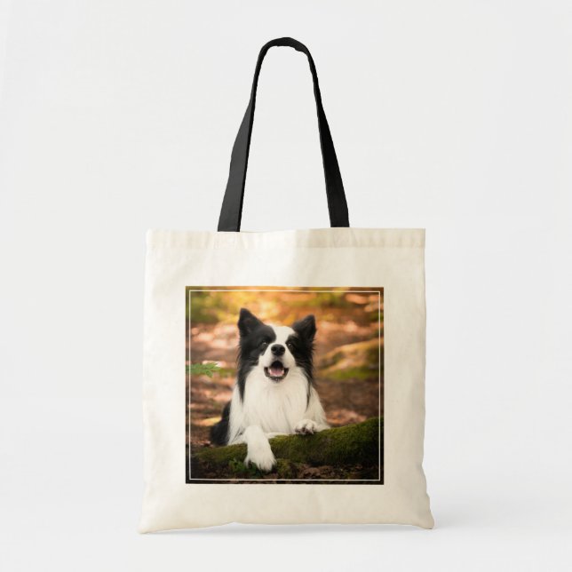 Tote Bag Cutest Baby Animals | Black and White Border Colli (Devant)