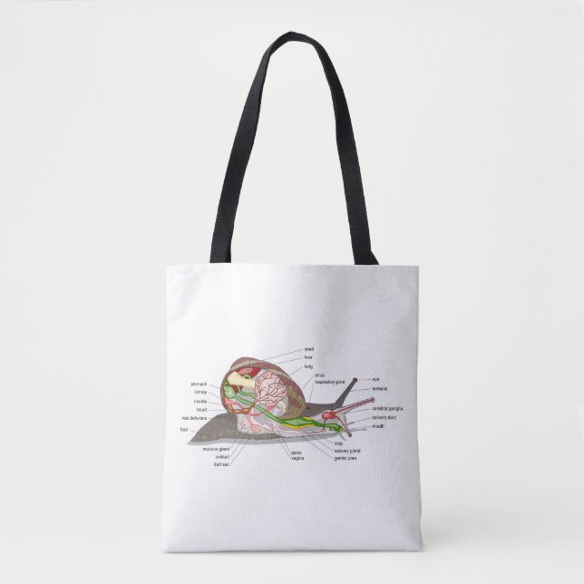 Tote Bag Diagram snail Helix aspersa split-sectioned organ  (Devant)