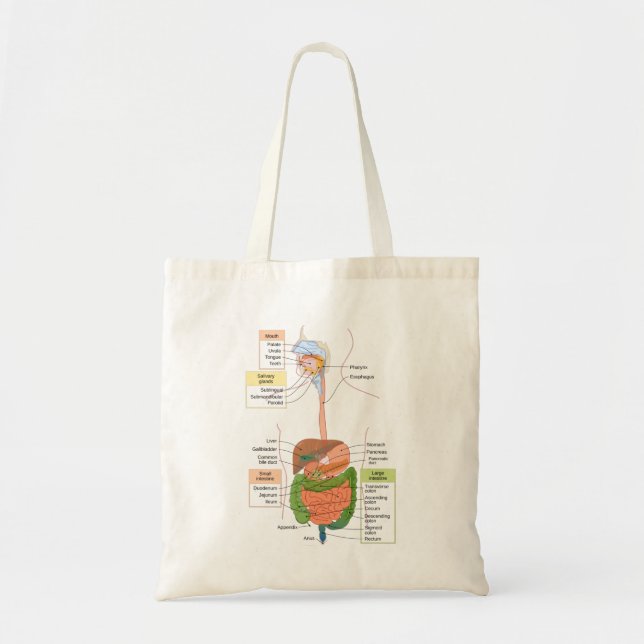 Tote Bag Diagramme Système digestif gastro-intestinal humai (Devant)
