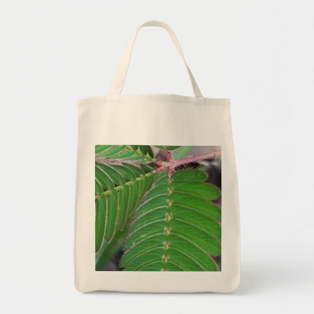 Tote Bag Éco-Friendly Épicerie Fourre-tout avec conception  (Devant)